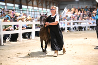 AJB_2011