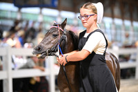 AJB_2012
