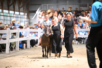 AJB_2014