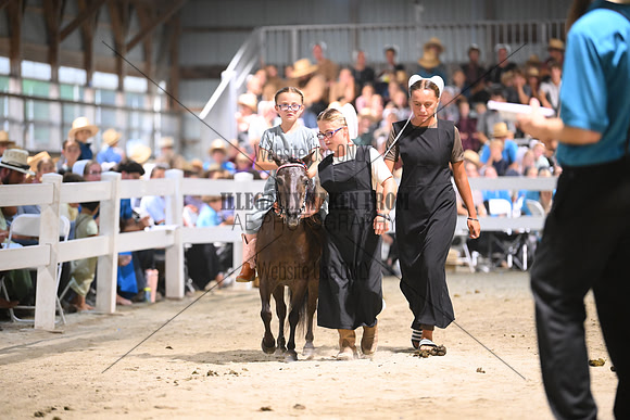 AJB_2014