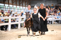 AJB_2015