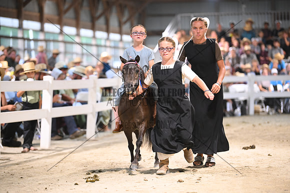 AJB_2015