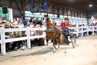 AJB_2019