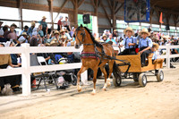 Lot 104