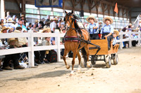 AJB_2036