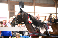 AJB_2074