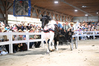 AJB_2079