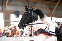 AJB_2081