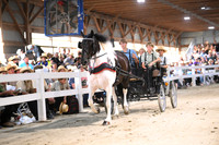 AJB_2082