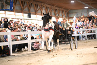 AJB_2087