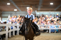 Lot 11