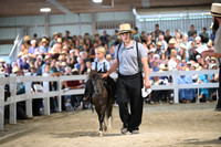AJB_0971