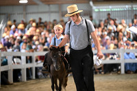 AJB_0972