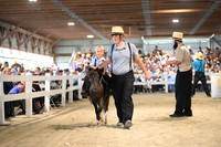 AJB_0973