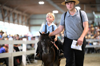 AJB_0974