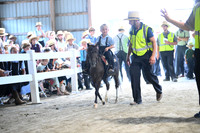 AJB_0976