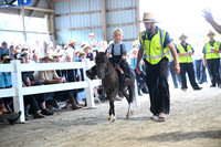 AJB_0977