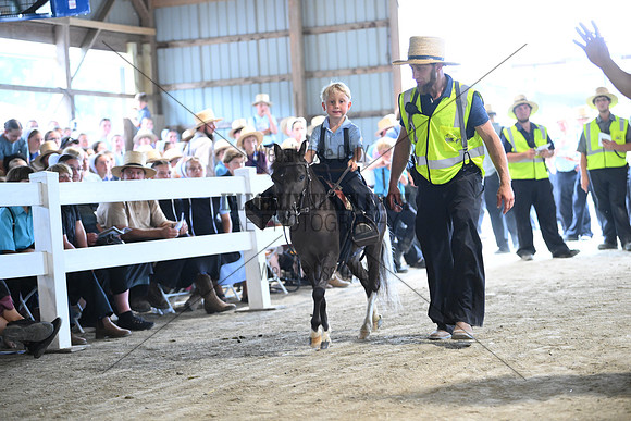 AJB_0977