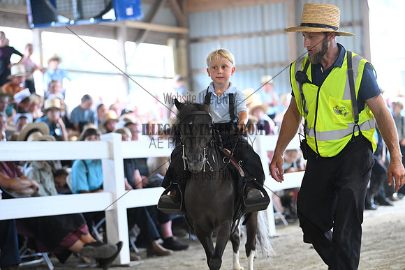 AJB_0978