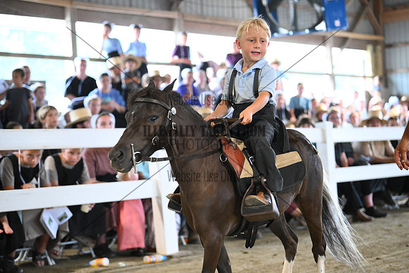 AJB_0979