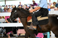 AJB_0980