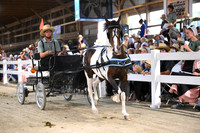 Lot 110