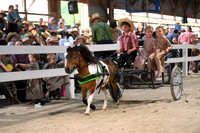 Lot 111