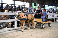 Lot 116
