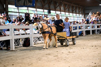AJB_2161
