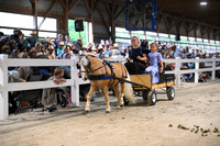 AJB_2162