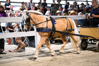 AJB_2163