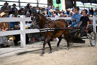 AJB_2172