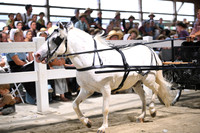 AJB_2185