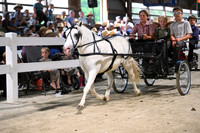 AJB_2190