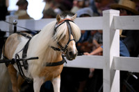 Lot 119