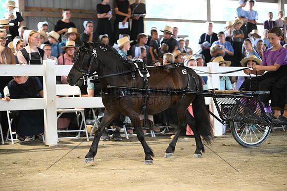 AJB_0991