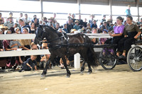 AJB_0994