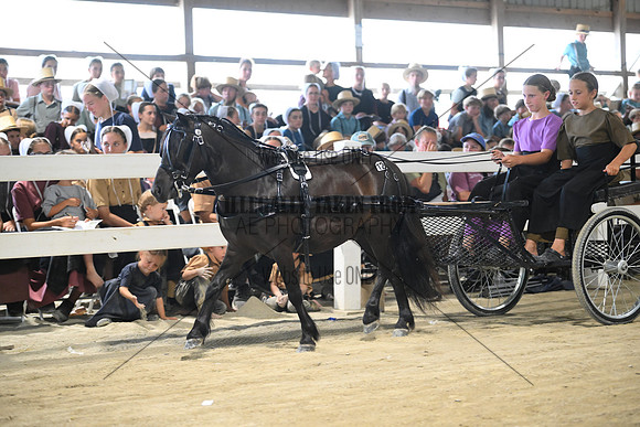 AJB_0994