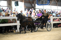 AJB_0995