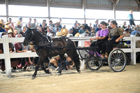 AJB_0996