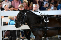 AJB_0997