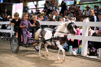 Lot 120