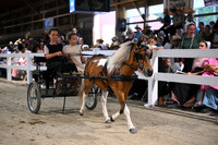 Lot 121