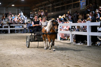 AJB_2218