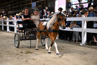 AJB_2219