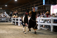Lot 123