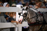 Lot 124