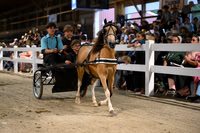 Lot 125