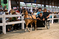 AJB_2264