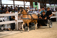 AJB_2265